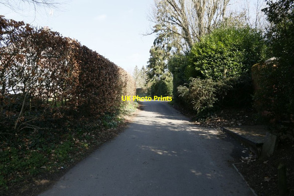 Photo 6"x4" Chilland Lane Couch Green c2015