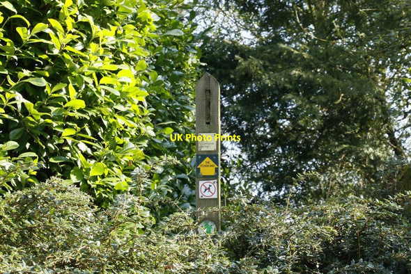 Photo 6"x4" Sign in the Hedge Couch Green c2015
