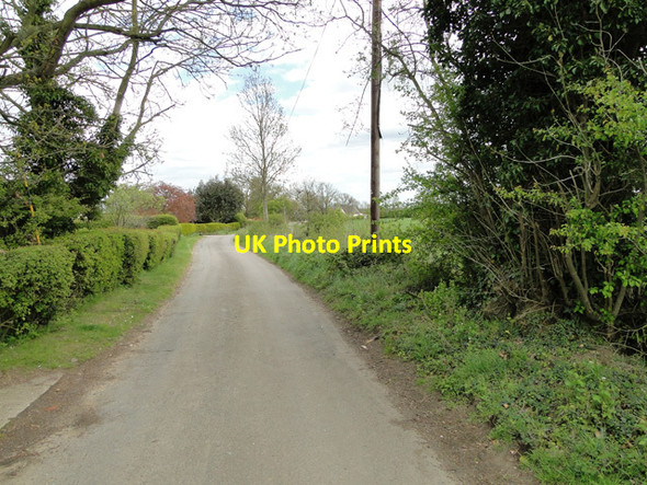 Photo 6"x4" Country road in Dallinghoo Dallinghoo c2015