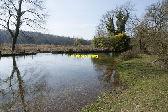 Photo 6"x4" The River Itchen Couch Green c2015