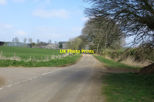 Photo 6"x4" Beech Farm Corton Denham c2015