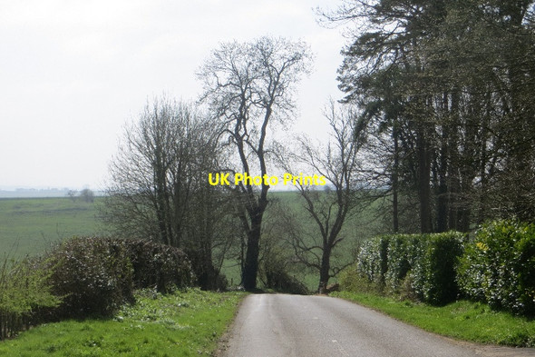 Photo 6"x4" Running out of Somerset Stafford's Green c2015