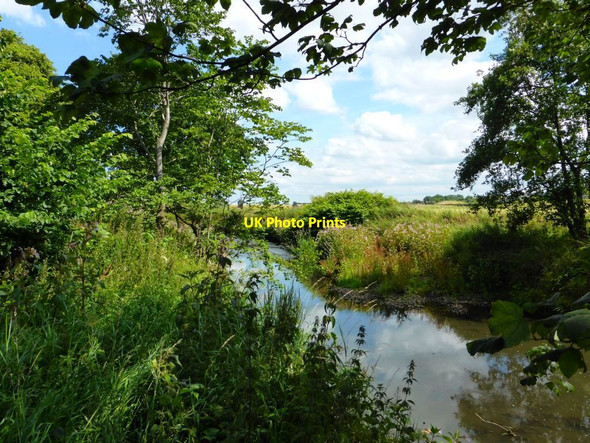 Photo 6"x4" The Bonny Water Tamfourhill c2014