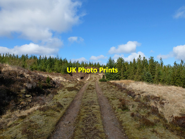 Photo 6"x4" Greshornish Forest Bay\/NG2653 c2015