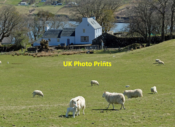 Photo 6"x4" The Orde of Greshornish Kildonan\/NG3554 c2015