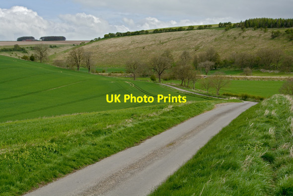 Photo 6"x4" On the lane to Fridaythorpe Fridaythorpe c2015