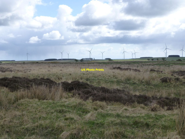 Photo 6"x4" Moorland north of Hagdon Eglingham c2015