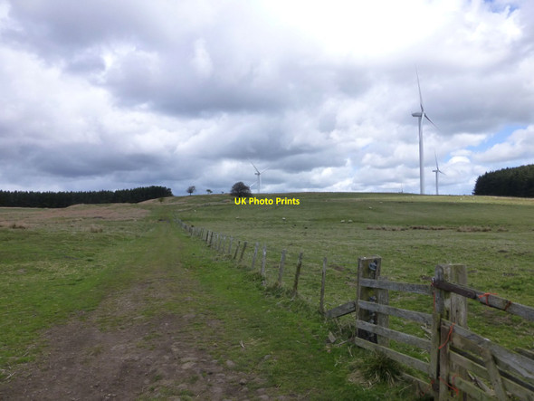 Photo 6"x4" Track up Hangwell Law Hangwell Law c2015