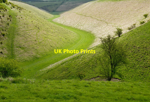 Photo 6"x4" Holm Dale, near Fridaythorpe, E Yorks Fridaythorpe c2015