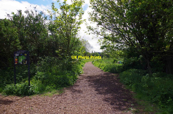 Photo 6"x4" Footpath into Perdiswell Park, Perdiswell, Worcester Worcester c2015