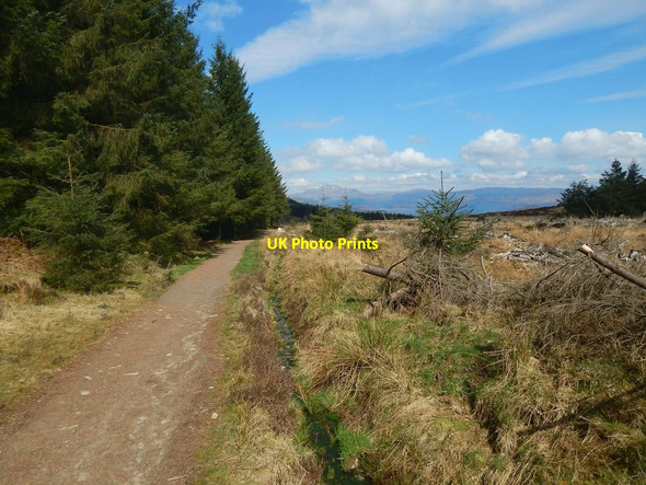 Photo 6"x4" Path to Goukhill Muir Arden\/NS3684 c2015