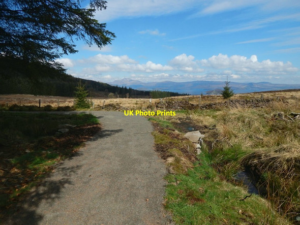 Photo 6"x4" Path to Goukhill Muir Arden\/NS3684 c2015