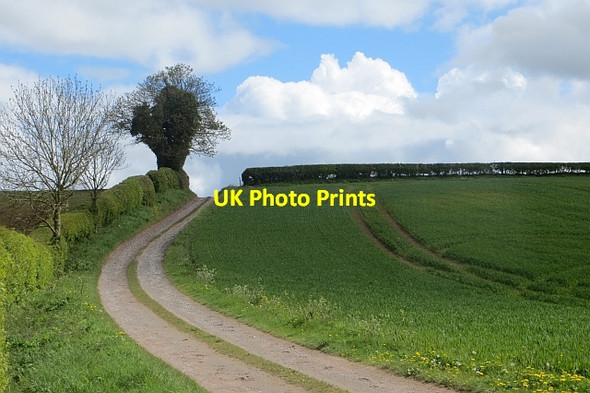 Photo 6"x4" Kyre, Hanley Child road Nineveh\/SO6264 c2015