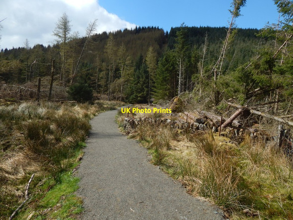Photo 6"x4" Path to Goukhill Muir Arden\/NS3684 c2015