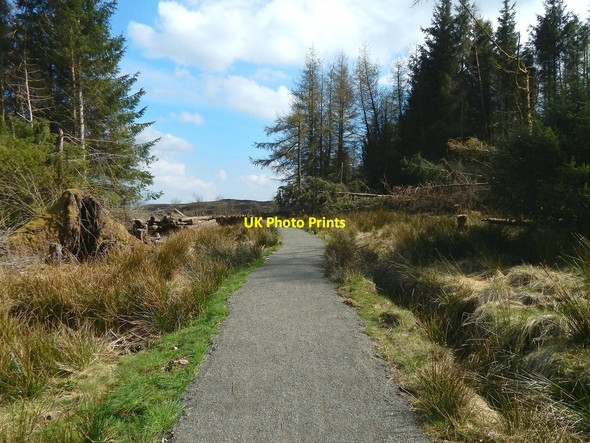 Photo 6"x4" Path to Darleith Muir Arden\/NS3684 c2015