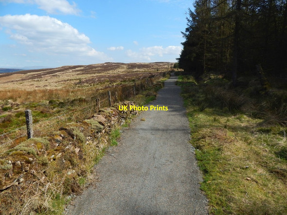 Photo 6"x4" Path to Darleith Muir Arden\/NS3684 c2015 P2