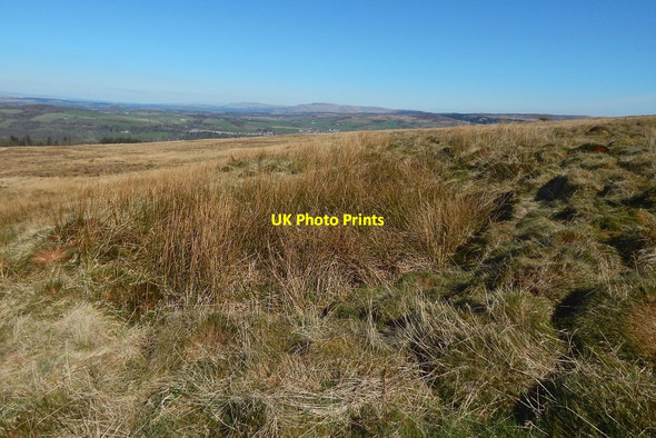 Photo 6"x4" Pit near edge of woods Arden\/NS3684 c2015