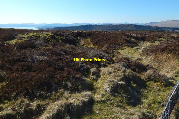 Photo 6"x4" Pit beside fence Renton c2015