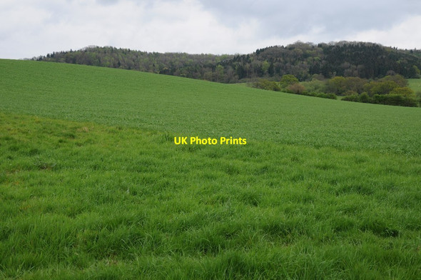 Photo 6"x4" Farmland below Bredon Hill Great Comberton c2015