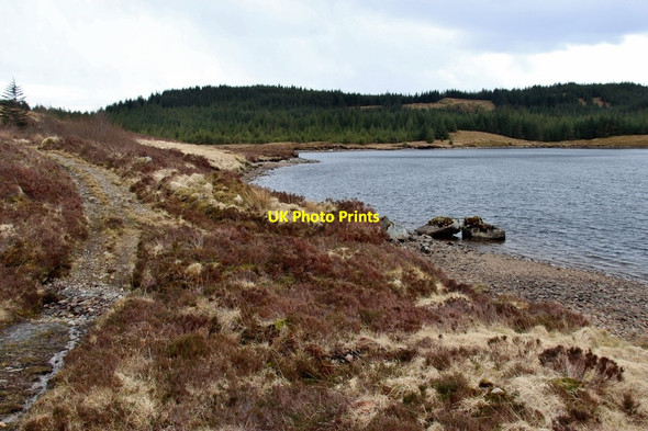 Photo 6"x4" The Braleckan path by Loch Leacann Auchindrain c2015
