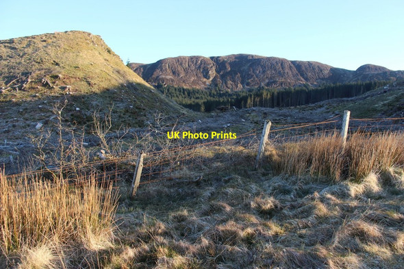 Photo 6"x4" Partially cleared forest above Auchindrain Auchindrain c2015