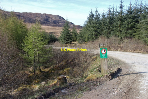 Photo 6"x4" Leacainn Forest Drive Goatfield c2015