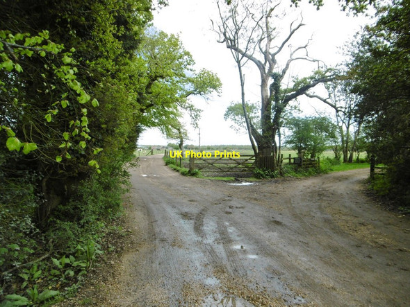 Photo 6"x4" Dilton, bridleway junction Sandy Down c2015