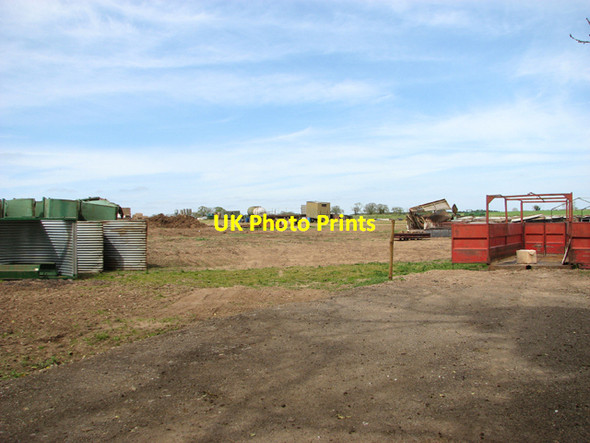Photo 6"x4" Free-range pigs by Hilborough Hilborough c2015