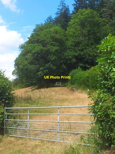 Photo 6"x4" Dan Allt Enoch yn yr Haf Llanfynydd\/SN5527 c2013