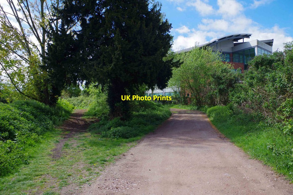 Photo 6"x4" Fork in the footpath, Perdiswell Park Golf Course, Perdiswell, Worcester Worcester c2015