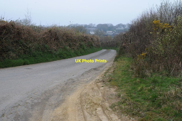 Photo 6"x4" Road to Cabbacott Buckland Brewer c2015
