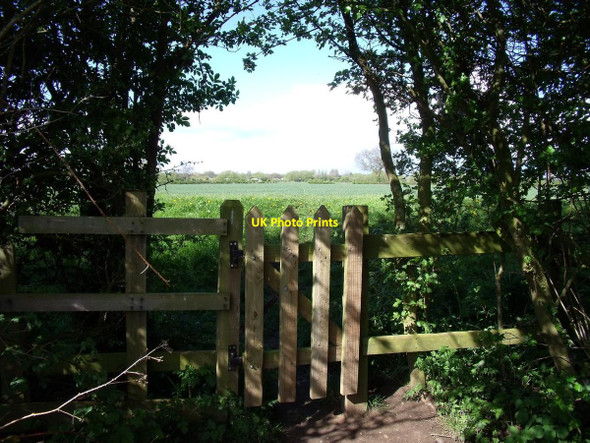 Photo 6"x4" Gate in a hedge at a footpath junction Great Wilne c2015