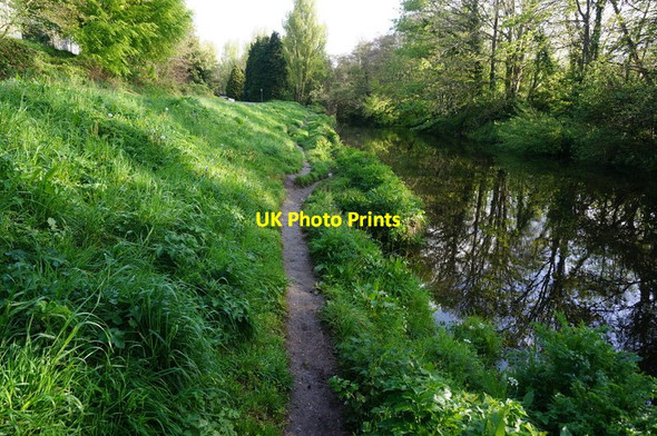 Photo 6"x4" River Plym Longbridge\/SX5157 c2015
