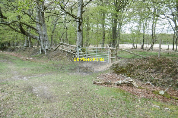 Photo 6"x4" Ipley, gate Applemore c2015