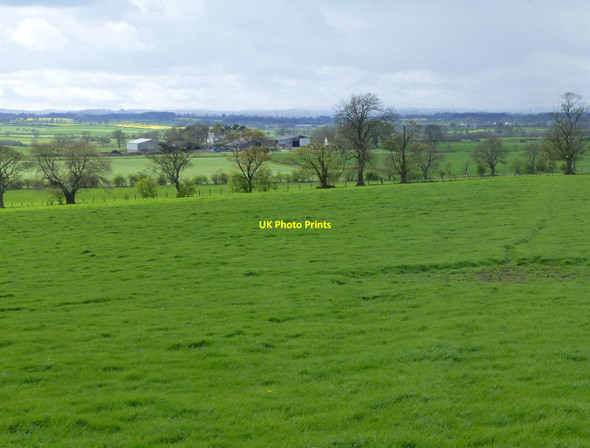 Photo 6"x4" Lush pasture after heavy rain Saltwick\/NZ1780 c2015