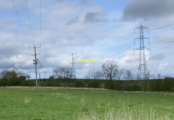Photo 6"x4" Pasture, pylons and electricity poles Saltwick\/NZ1780 c2015