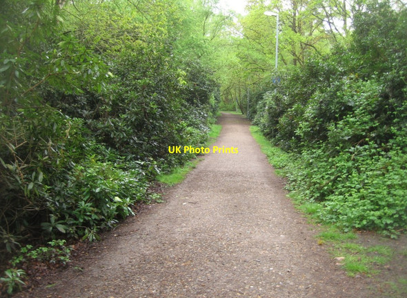 Photo 6"x4" Cyclepath in Queen Elizabeth Park Farnborough\/SU8754 c2015