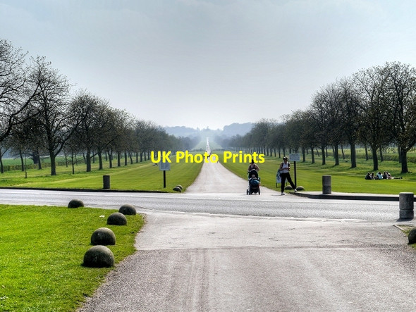 Photo 6"x4" Windsor Great Park, Albert Road Crossing The Long Walk Windsor\/SU9676 c2015