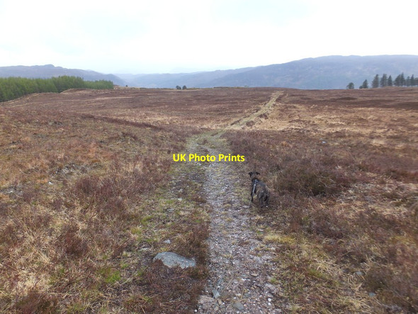 Photo 6"x4" Moorland track, Cnoc na Staing, Lochcarron Kirkton\/NG9141 c2015