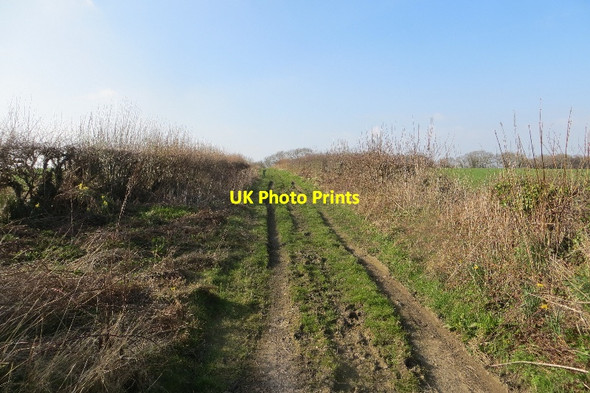 Photo 6"x4" Green Lane, Telegraph Hill Hilfield c2015