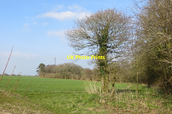 Photo 6"x4" Field edge, Telegraph Hill Hilfield c2015