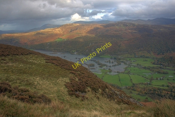 Photo 6"x4" Fellside Below Maiden Moor Grange\/NY2517 c2008