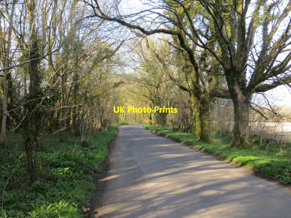 Photo 6"x4" Ramshorn Hill Hilfield c2015