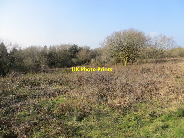 Photo 6"x4" Hilfield Hill Hilfield c2015