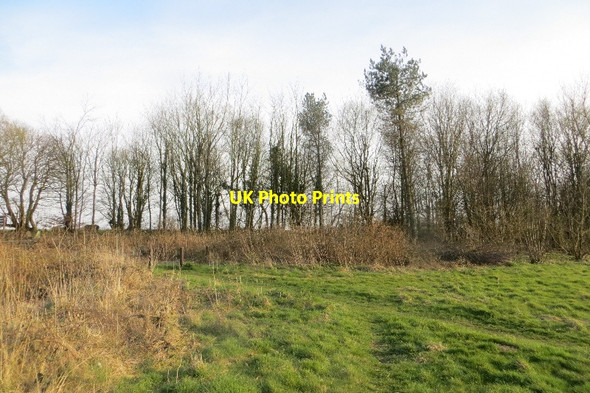 Photo 6"x4" Hilfield Hill Hilfield c2015