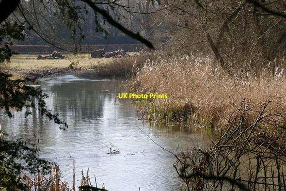 Photo 6"x4" Towards Avington Lakes Avington\/SU5332 c2015