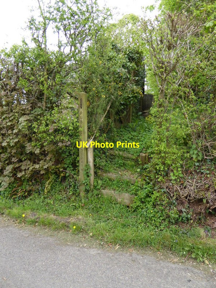 Photo 6"x4" Channel to Channel (271) Feltham\/ST2317 c2015