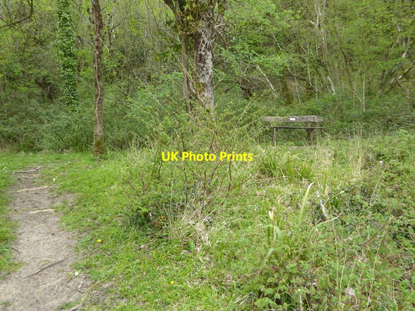 Photo 6"x4" Channel to Channel (281) Woodram c2015