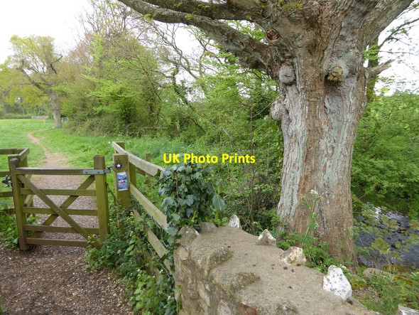 Photo 6"x4" Channel to Channel (315) Canonsgrove c2015