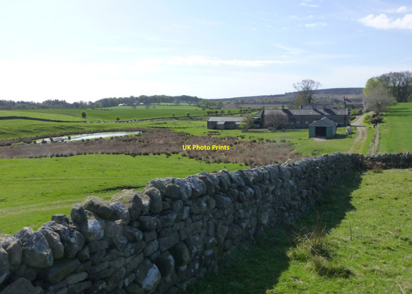 Photo 6"x4" Harehope Farm Eglingham c2015